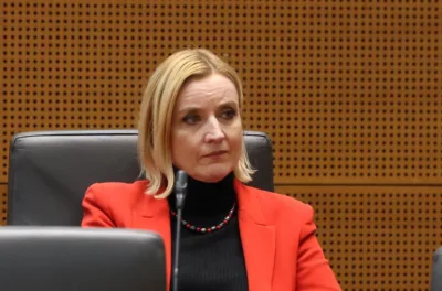 Vpliv Damjanića s Paškovo in Šetincem na Ninamedio