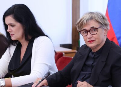 Stevanović v primežu “bojevnic”: Sukičeve, Sluge in Grgurevičeve