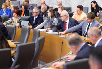 Kampanja pred volitvami: Vladni poslanci izglasovali zastonj vinjete