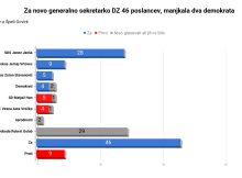 Za novo generalno sekretarko DZ 46 glasov