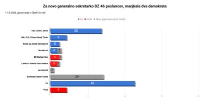 Za novo generalno sekretarko DZ 46 glasov