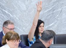 Potrjevanje ministrov: Iz Svobode besneli zaradi Stevanovićevega tvita o njihovem "pocestniškem obnašanju"
